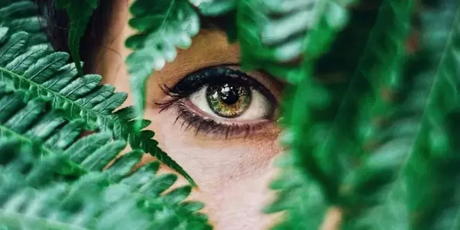 látás és gyakorlatok annak helyreállítására